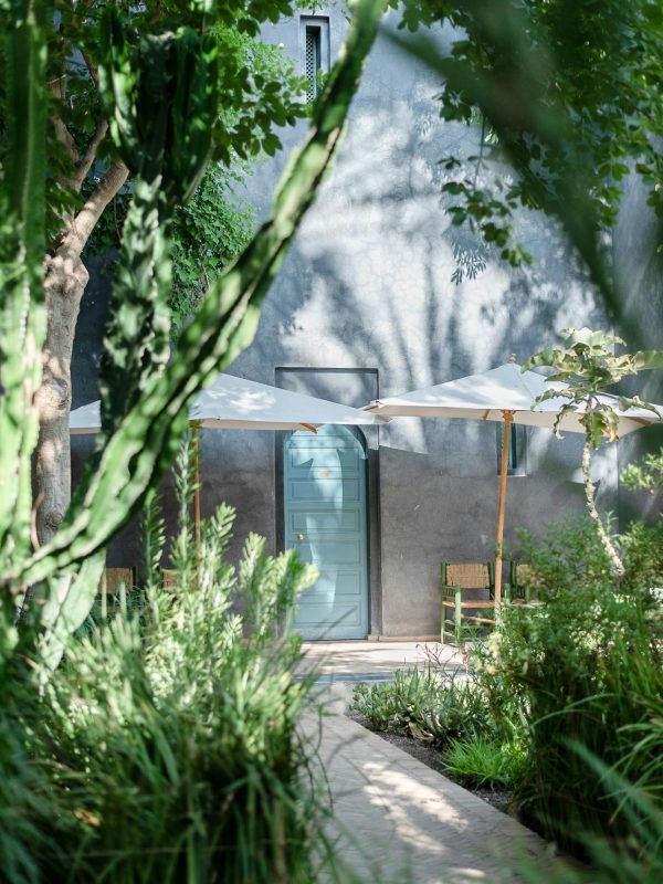 pexels-harriet-b-392993362-18687095